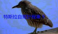 特斯拉自駕計程車 9 月上線，全面開放大眾